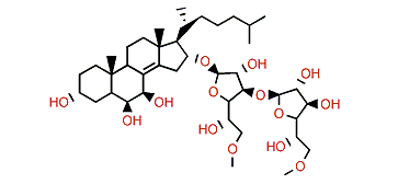 Anthenoside E